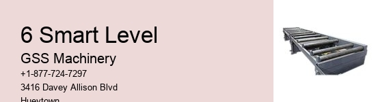 6 Smart Level